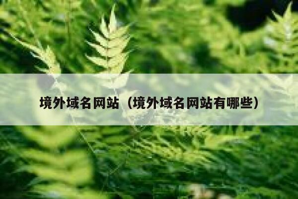 境外域名网站（境外域名网站有哪些） 第1张