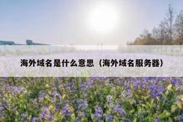 海外域名是什么意思（海外域名服务器） 第1张