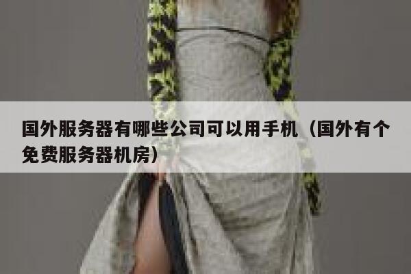 国外服务器有哪些公司可以用手机（国外有个免费服务器机房） 第1张