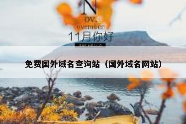 免费国外域名查询站（国外域名网站） 第1张