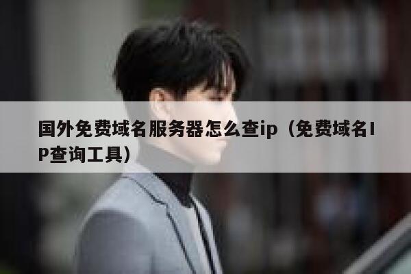国外免费域名服务器怎么查ip（免费域名IP查询工具） 第1张