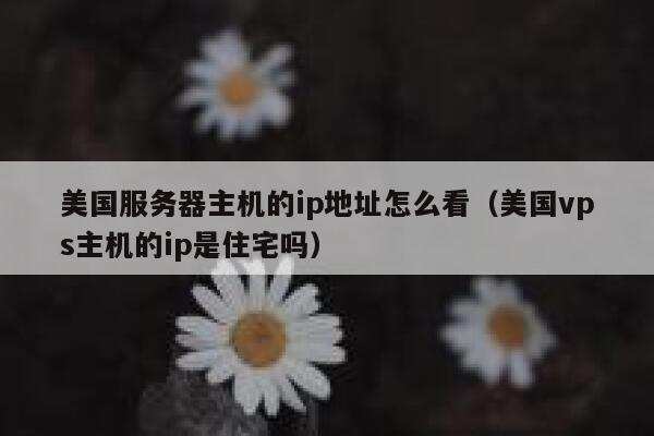 美国服务器主机的ip地址怎么看(美国vps主机的ip是住宅吗) 第1张 美国服务器主机的ip地址怎么看(美国vps主机的ip是住宅吗) 第1张