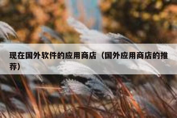 现在国外软件的应用商店(国外应用商店的推荐) 第1张 现在国外软件的应用商店(国外应用商店的推荐) 第1张
