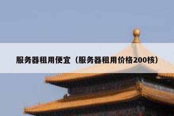 服务器租用便宜(服务器租用价格200核) 第1张 服务器租用便宜(服务器租用价格200核) 第1张