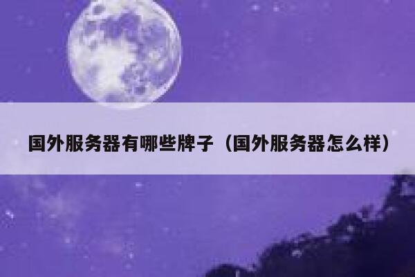国外服务器有哪些牌子（国外服务器怎么样） 第1张