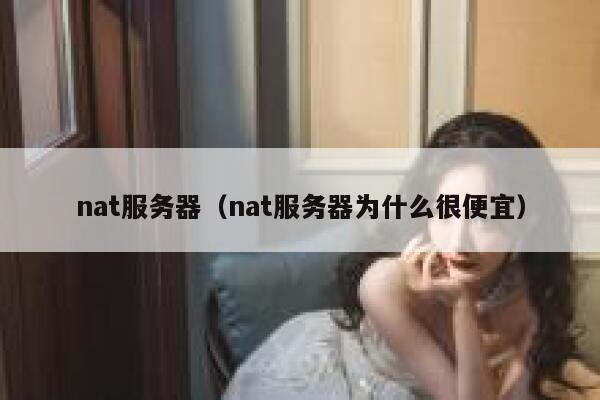 nat服务器（nat服务器为什么很便宜） 第1张